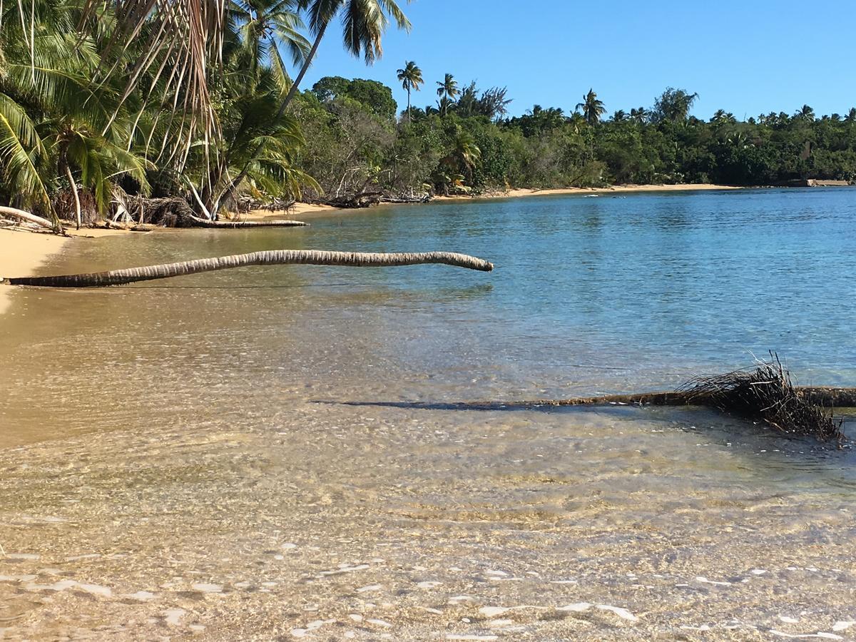 Vieques Good Vibe Guest House Luaran gambar